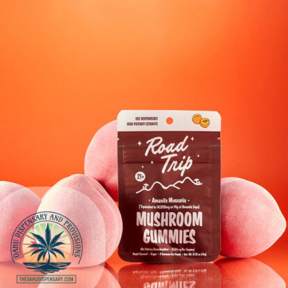 Road Trip Mushroom Gummies